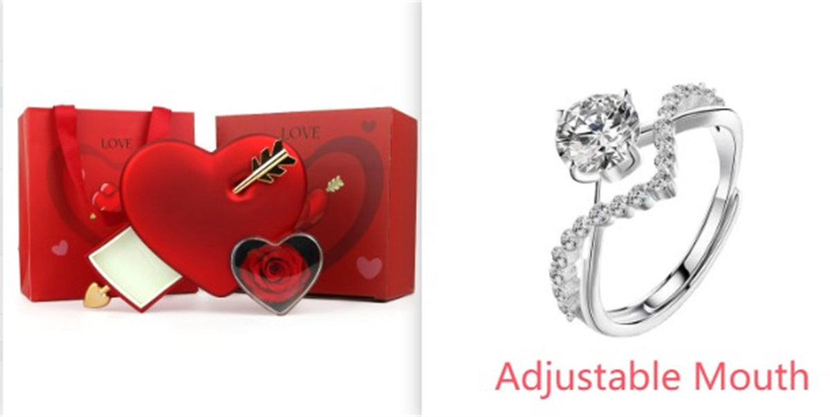Plastic Double Love Heart-shaped Jewelry Box