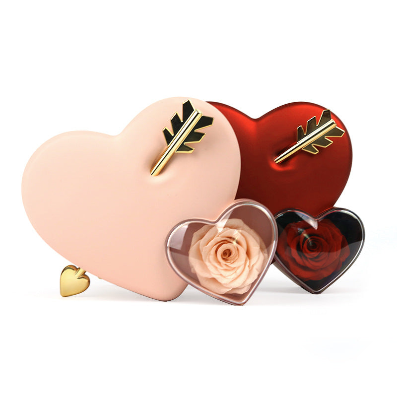 Plastic Double Love Heart-shaped Jewelry Box